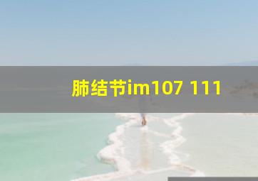 肺结节im107 111